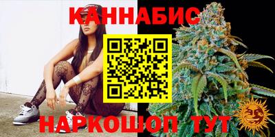 амф Гай