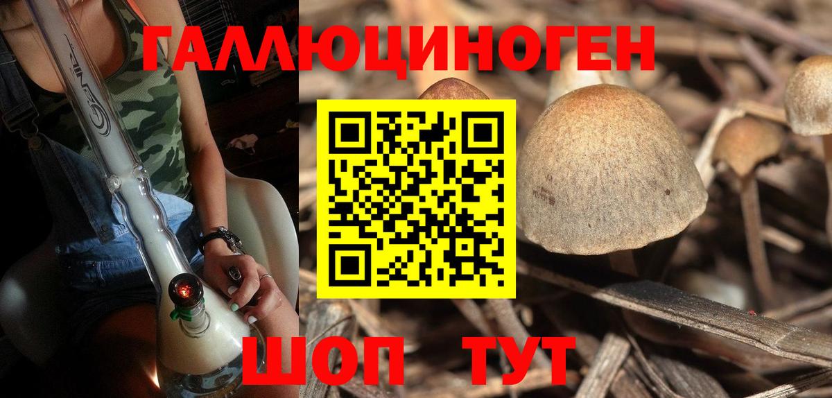 Псилоцибиновые грибы прущие грибы Минусинск