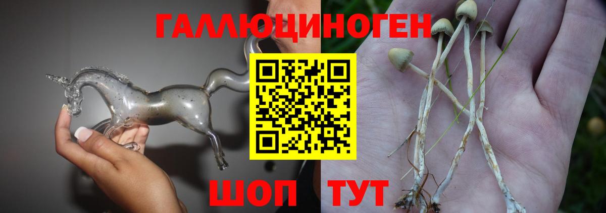 Псилоцибиновые грибы MAGIC MUSHROOMS  Вход с VPN  Минусинск 
